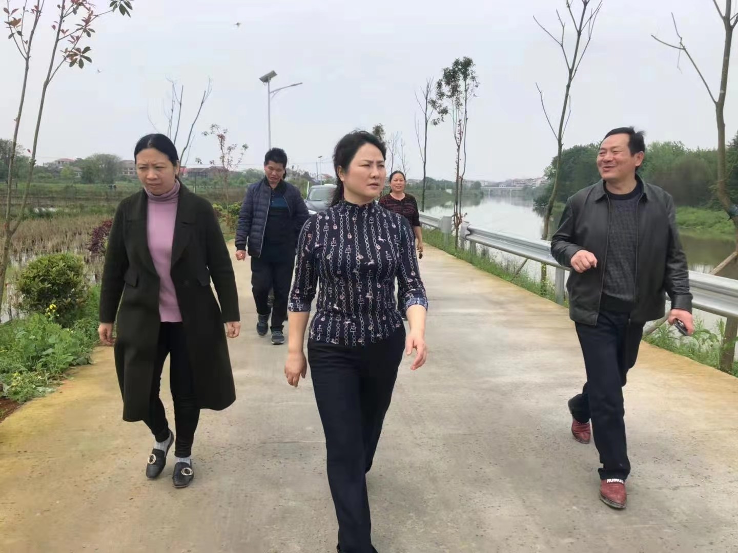 黄艳娥督导中央生态环境保护督察交办信访件整改和粮食生产等工作(图3)